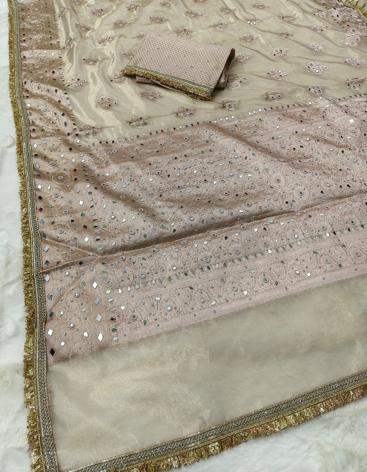 Elegant Beige Tissue Saree with Moti Mirrorwork & Premium Lace Border