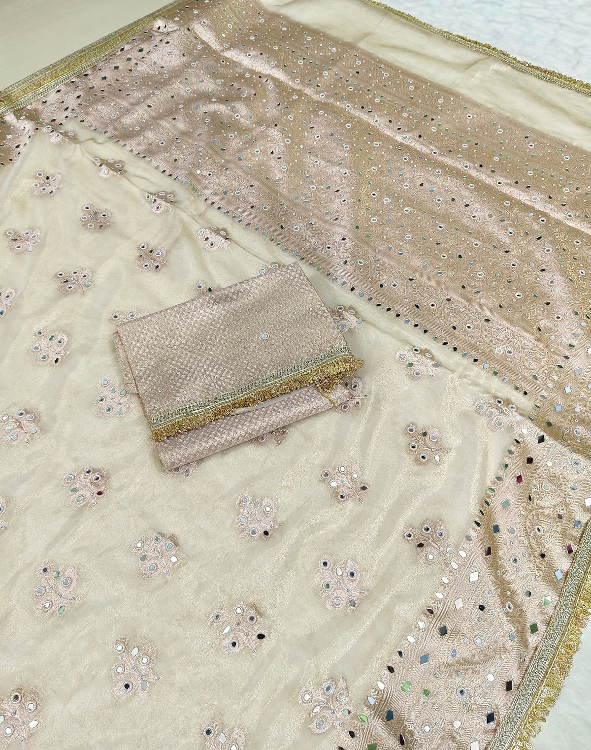 Elegant Beige Tissue Saree with Moti Mirrorwork & Premium Lace Border
